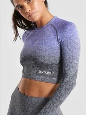Gymshark Long Sleeve Crop Top Seamless Size Small Ombré Gray Purple
